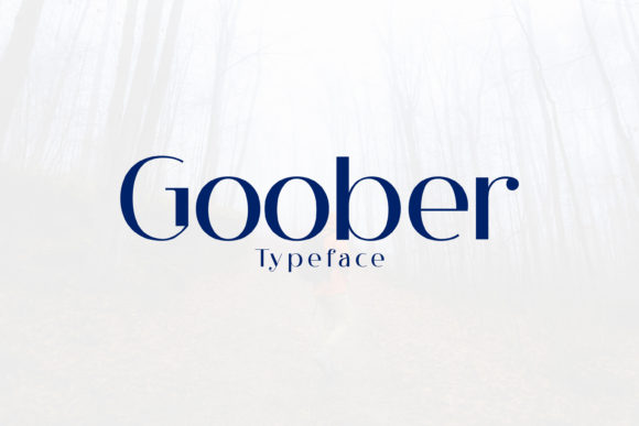 Goober: The Modern Display Font That Elevates Visual Identity